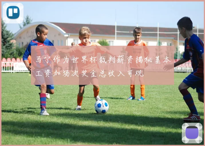 马宁作为世界杯裁判薪资揭秘基本工资加场次奖金总收入可观